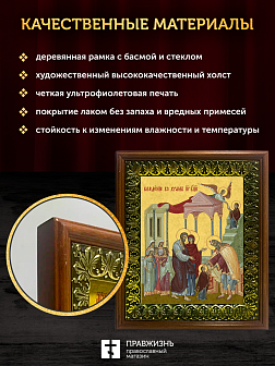 Икона Введение во храм Пресвятой Богородицы, деревянная рамка с басмой и стеклом 18х21х2,5 см 1204 Икона Введение во храм Пресвятой Богородицы, деревянная рамка с басмой и стеклом 18х21х2,5 см 1204