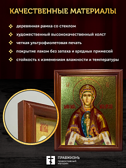 Икона Албазинская Слово Плоть Бысть Божия Матерь с золочением, деревянная рамка со стеклом 15х18х2 с