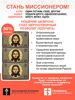 Набор шевронов Спас Нерукотворный 5х9 см. на липучке ПВХ койот 3 шт.