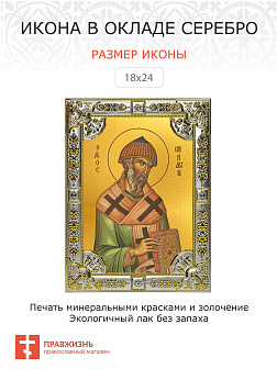 Икона Спиридон Тримифунтский святитель