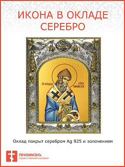 Икона Спиридон Тримифунтский святитель