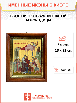 Образ "Введение во храм Пресвятой Богородицы", 05В1