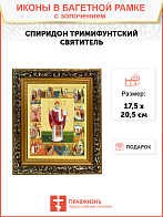 Икона с житием святителя Спиридона Тримифунтского, чудотворца с золочением поталью, 06015-УЛ