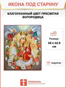 Икона Благоуханного цвета