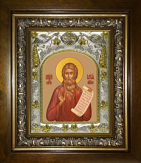 Икона Илия Египетский Икона Илия Египетский