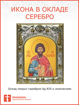 Икона ИЛИАН Севастийский, Мученик