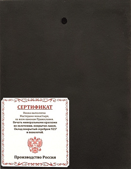 Икона Остробрамская Божия Матерь, в деревяном киоте