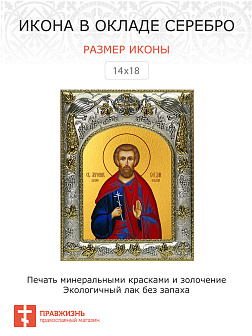 Икона Феодот (Богдан) Адрианопольский Мученик