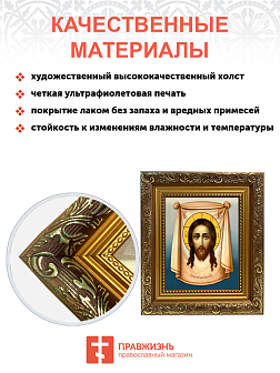 Образ Господа Иисуса Христа "Спас Нерукотворный", 02С3 Образ Господа Иисуса Христа "Спас Нерукотворный", 02С3