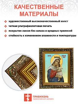 Образ Божией Матери "Отчаянных единая надежда", 03О1