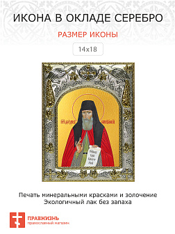 Икона ФЕОДОР Санаксарский, Преподобный