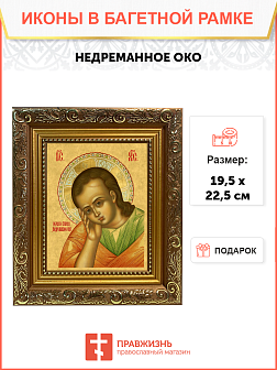 Образ Господа Иисуса Христа "Недреманное Око", 02003