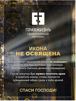 Икона Божией Матери Ржевская Оковецкая (Прозрение Очес)