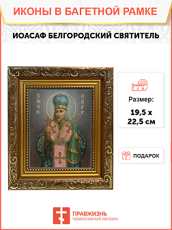 Образ святого Иоасафа (Горленко), Епископа Белгородского и Обоянского, 09И16