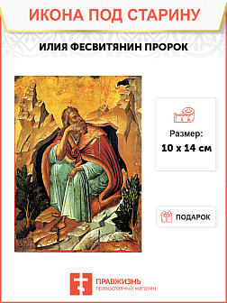 Икона Ильи Пророка