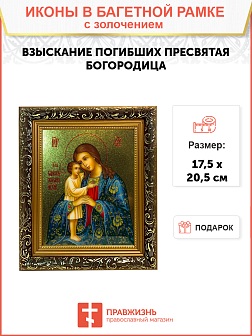Икона Божией Матери Взыскание погибших с золочением, узкая рамка 17,5х20,5х2 см