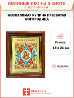 Икона Божией Матери "Неопалимая Купина" с золочением поталью, 03045-УЛ
