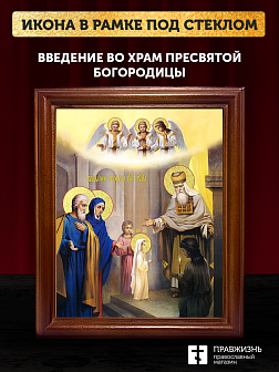 Икона Введение во храм Пресвятой Богородицы с золочением, деревянная рамка со стеклом 15х18х2 см 120 Икона Введение во храм Пресвятой Богородицы с золочением, деревянная рамка со стеклом 15х18х2 см 120