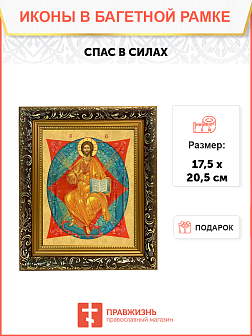 Образ Господа Иисуса Христа "Спас в Силах", 02004