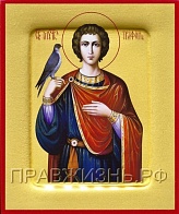 Икона ТРИФОН Апамейский, Никейский, Мученик (ЗОЛОЧЕНИЕ)