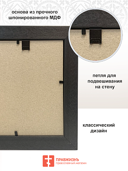 Икона "Аполлинария", св. прп., с золочением поталью, 10А7-УЛ