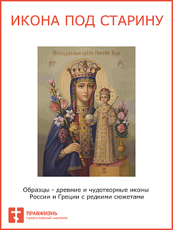Икона Пресвятой Богородицы Неувядаемый цвет