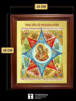 Икона Божией Матери Неопалимая Купина с золочением, деревянная рамка со стеклом 15х18х2 см 181 Икона Божией Матери Неопалимая Купина с золочением, деревянная рамка со стеклом 15х18х2 см 181