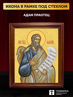 Икона Адам праотец, деревянная рамка со стеклом 15х18х2 см 197