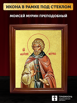 Икона Моисей Мурин преподобный с золочением, деревянная рамка со стеклом 15х18х2 см 1009 Икона Моисей Мурин преподобный с золочением, деревянная рамка со стеклом 15х18х2 см 1009