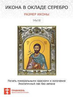 Икона САВВА Готфский, Мученик