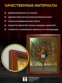 Икона Спас Древо Жизни с золочением, деревянная рамка со стеклом 15х18х2 см