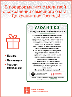 Икона "Илия Пророк Фесвитянин", св., с золочением поталью, 09И8-УЛ