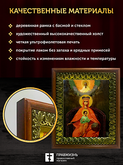 Икона Божией Матери Державная с золочением, деревянная рамка с басмой и стеклом 18х21х2,5 см 014