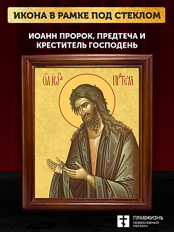 Икона Иоанн пророк Предтеча и Креститель Господень, деревянная рамка со стеклом 15х18х2 см 081