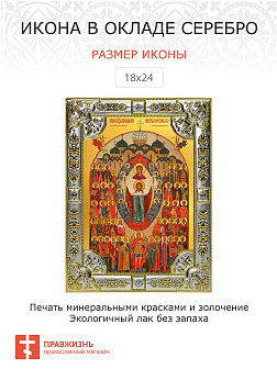 Икона Собор святых покровителей воинства Российского