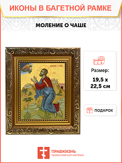 Образ Господа Иисуса Христа "Моление о чаше", 02С9