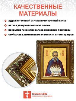 Образ святого Стилиана Пафлагонского, преподобного, 09С5 Образ святого Стилиана Пафлагонского, преподобного, 09С5