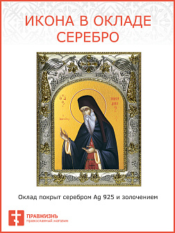 Икона Никодим Святогорец Икона Никодим Святогорец