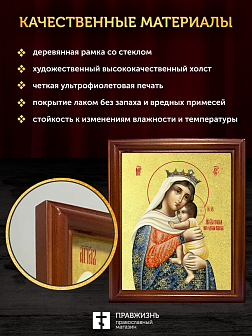 Икона Божией Матери Отчаяных Единая Надежда с золочением, деревянная рамка со стеклом 15х18х2 см 122