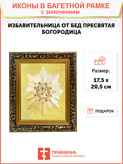 Икона Божией Матери "Избавительница от бед" с золочением поталью, 03И2-УЛ