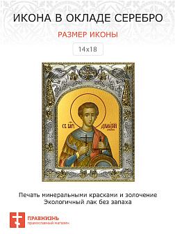 Икона Димитрий Солунский великомученик