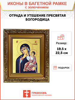 Икона Божией Матери "Отрада и утешение" с золочением поталью, 03О4-УЛ