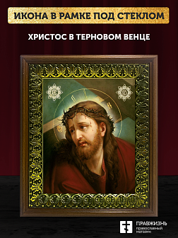 Икона Господь Иисус Христос в терновом венце, деревянная рамка с басмой и стеклом 18х21х2,5 см Икона Господь Иисус Христос в терновом венце, деревянная рамка с басмой и стеклом 18х21х2,5 см