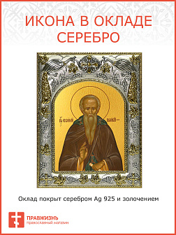 Икона Евфимий Великий