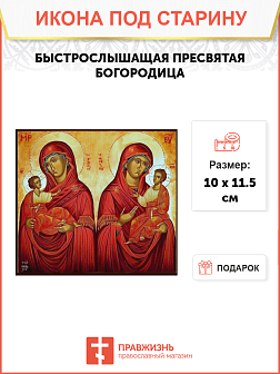 Икона Быстрослышащей