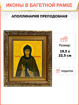 Икона Аполлинария Преподобная на холсте в киоте 031