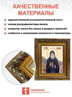 Образ святого Гавриила Самтаврийского (Ургебадзе), преподобного архимандрита, 09Г8