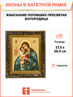 Образ Божией Матери "Взыскание погибших", 03003