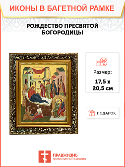 Образ Божией Матери "Рождество Пресвятой Богородицы", 05Р3 Образ Божией Матери "Рождество Пресвятой Богородицы", 05Р3