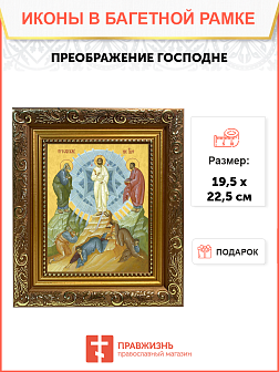 Образ Господа Иисуса Христа "Преображение Господне", 05П1